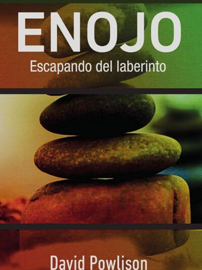 Enojo: Escapando del Laberinto - David Powlison