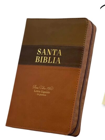 Santa Biblia RVR1960: Letra Gigante 14 pts. (Tapa Café: Con Índice y Canto dorado)