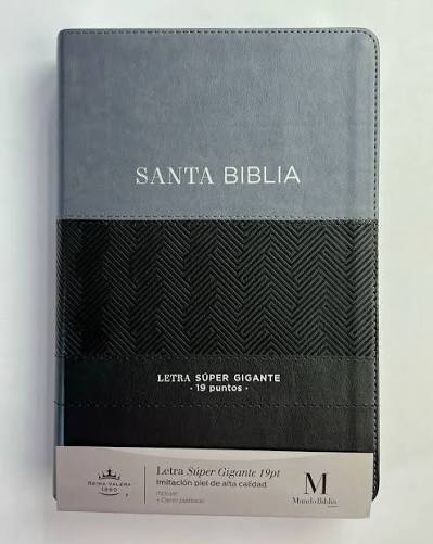 Santa Biblia RVR1960: Letra Súper Gigante 19 pts. (Tapa Gris)